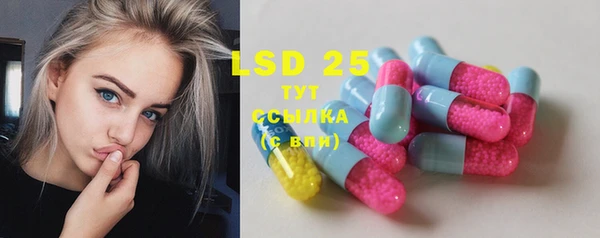 ГАЛЛЮЦИНОГЕННЫЕ ГРИБЫ Аркадак