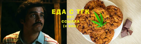 ГАЛЛЮЦИНОГЕННЫЕ ГРИБЫ Аркадак